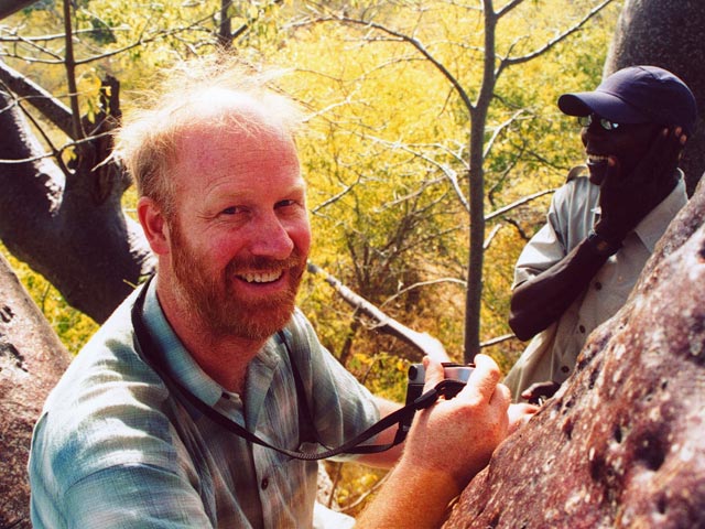 Jim Bond, ethnobotanist and baobab expert, up a tall baobab tree in Namibia