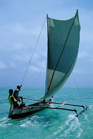 side image 1