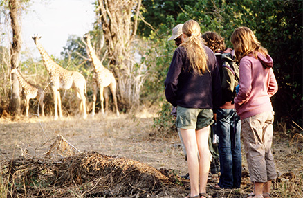 Walking safari in bare legs is a common risk factor for African tick bite fever
