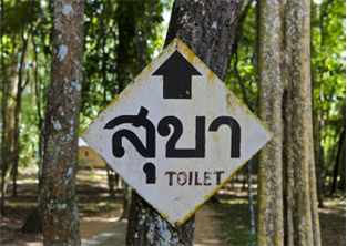Campsite toilet sign, Thailand: Travellers' diarrhoea can ruin a holiday or business trip